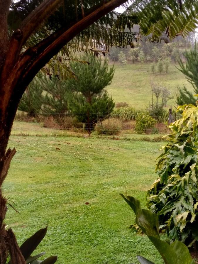 Green Acres B&B Beechmont Dış mekan fotoğraf